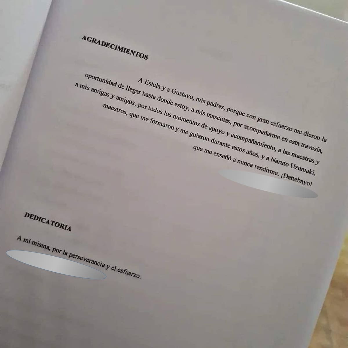 738086.jpg