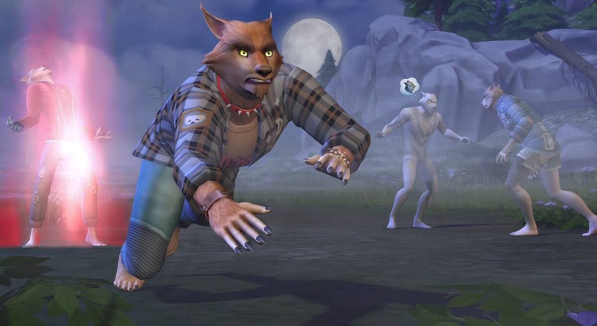 744013.jpg