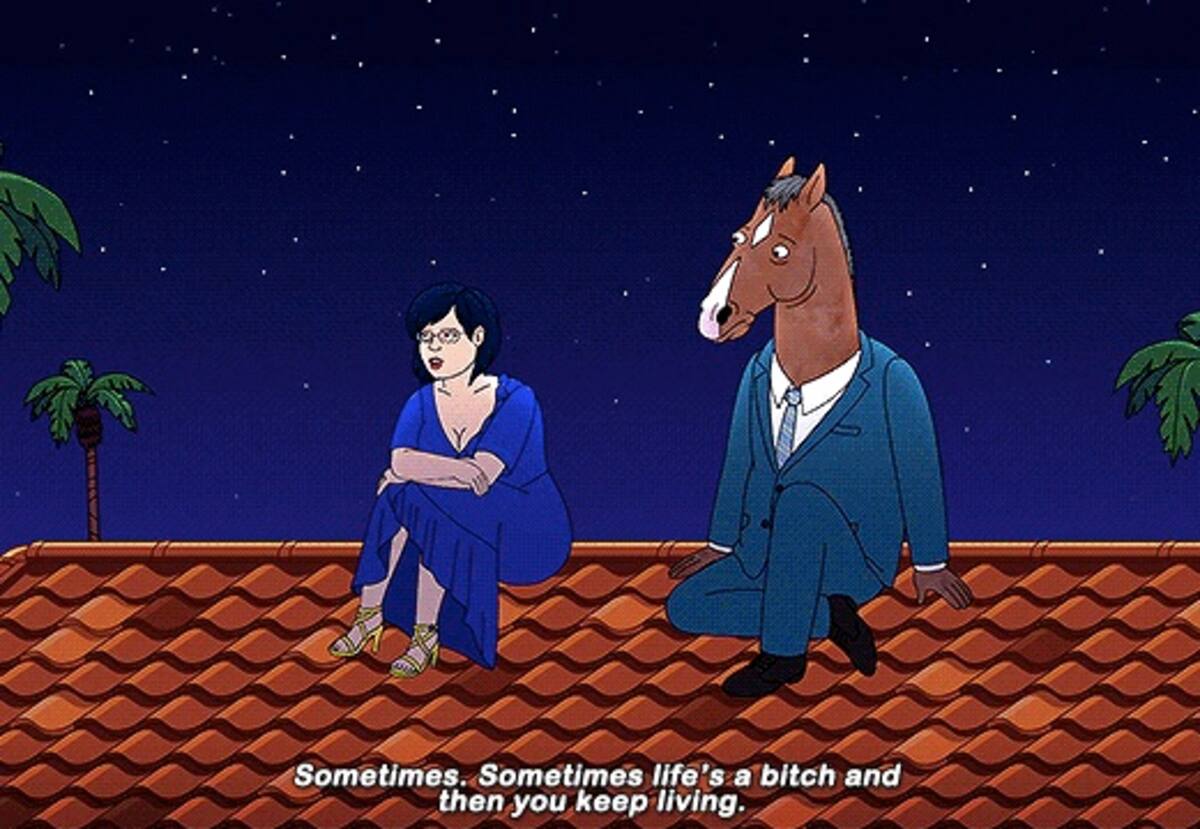 751519.jpeg