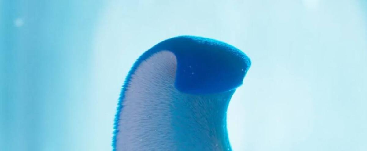 764794.jpg