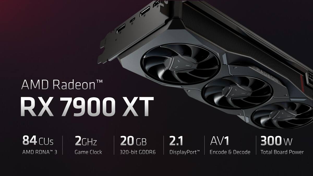 769212.jpg
