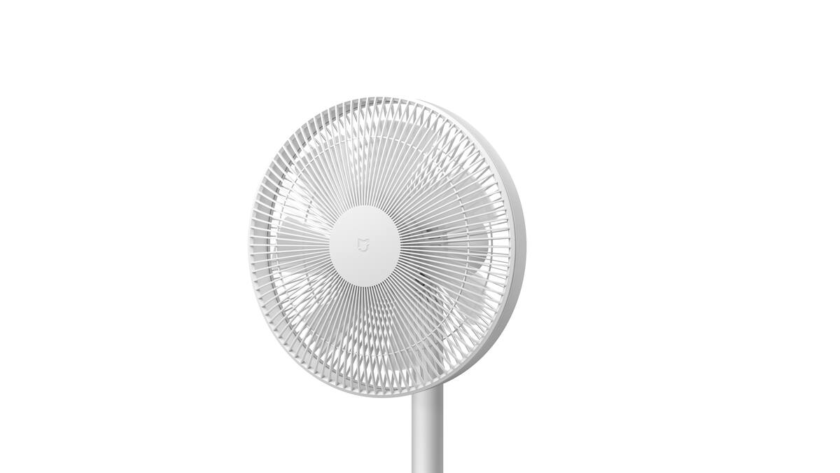 779763.jpg