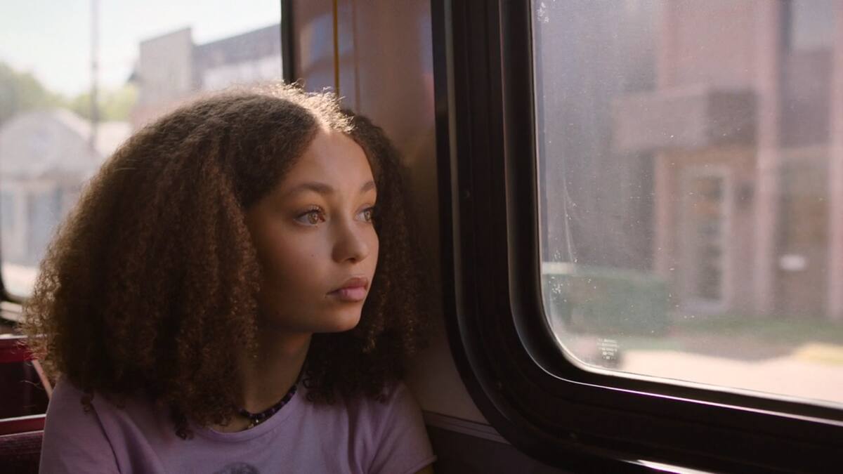 781327.jpg