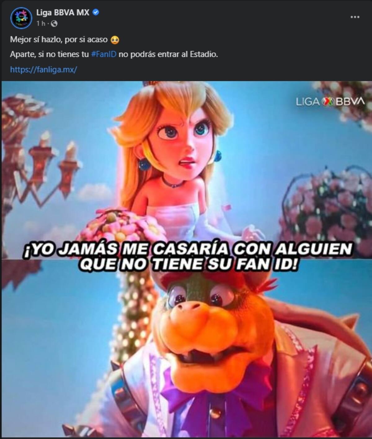 792817.jpg