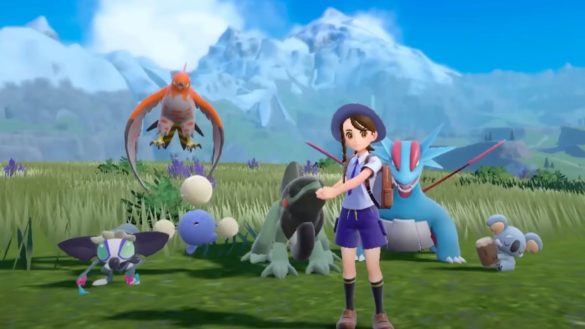 793038.jpeg