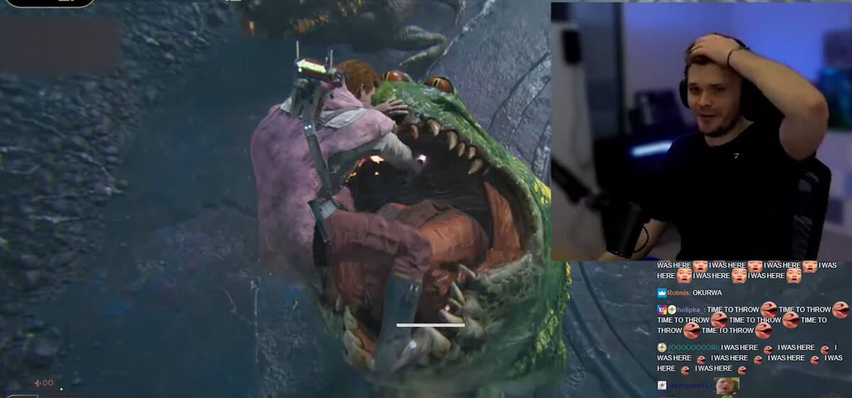 796070.jpg