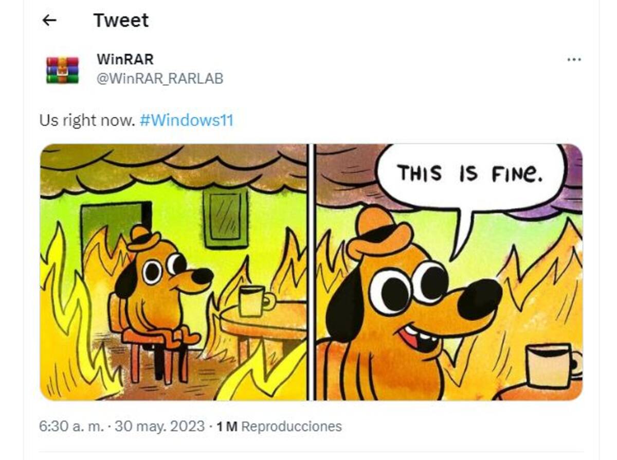 799246.jpg