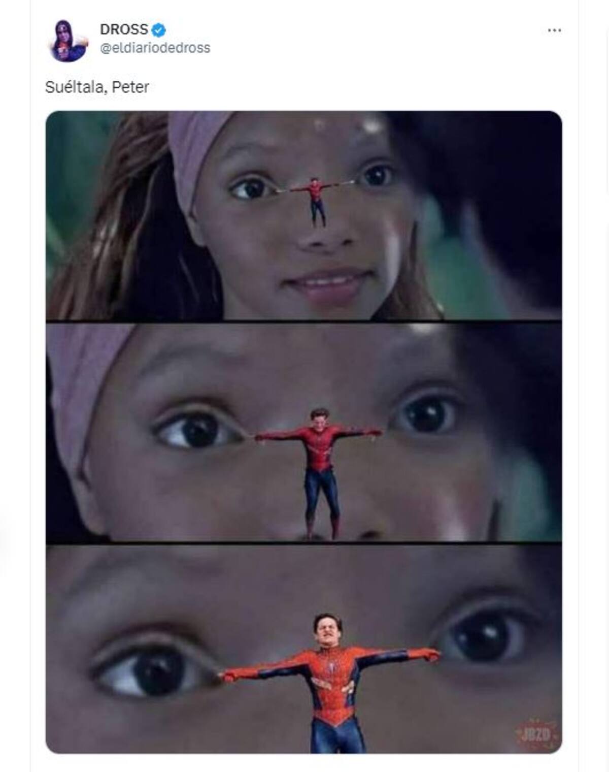 799264.jpg