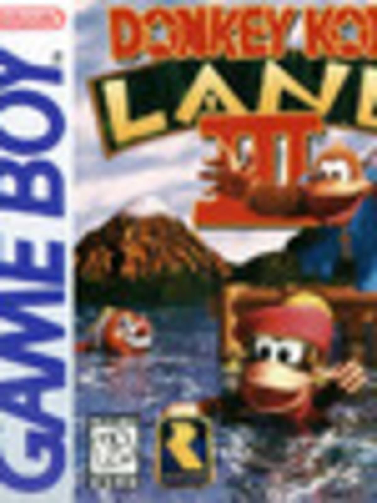 Donkey Kong Land III