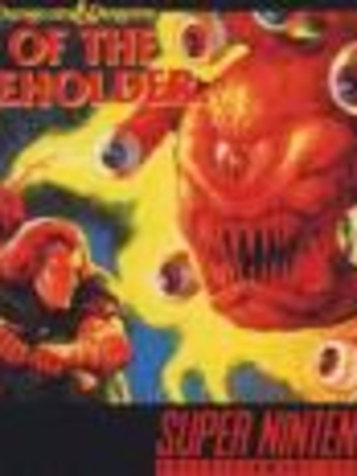 Advanced Dungeons & Dragons: Eye of the Beholder