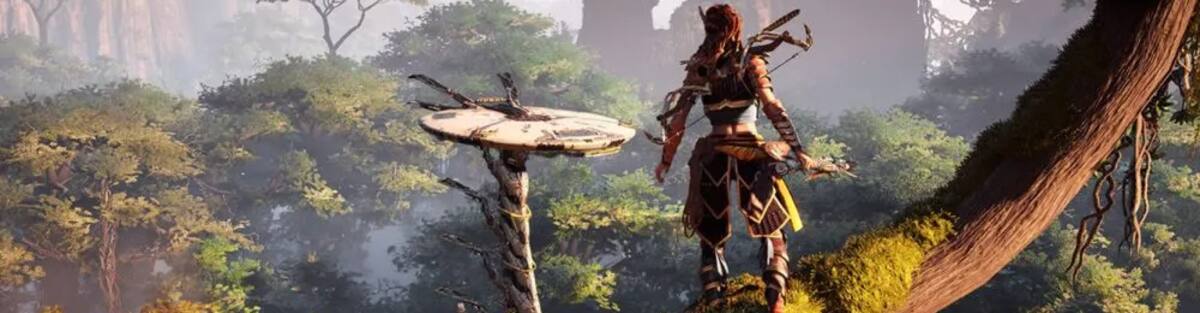 The two companies have reportedly struck a deal to create an MMORPG