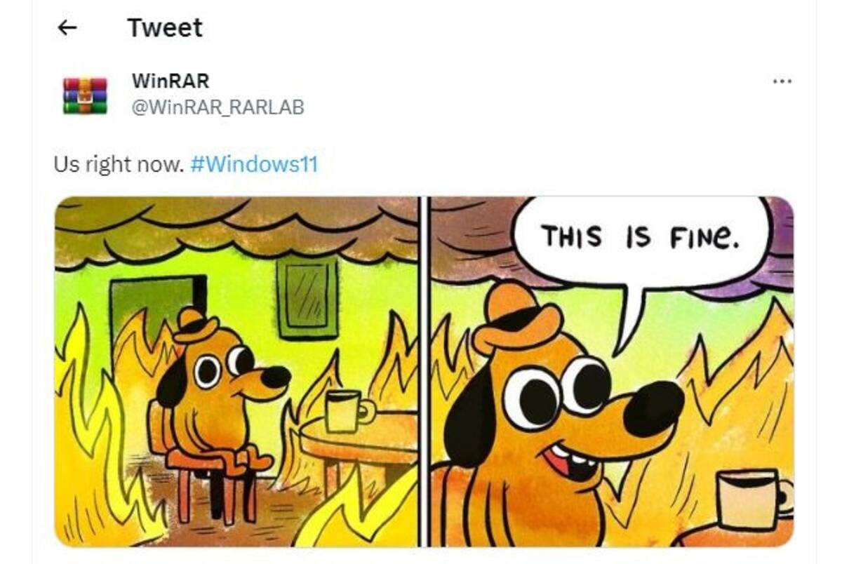 800409.jpg
