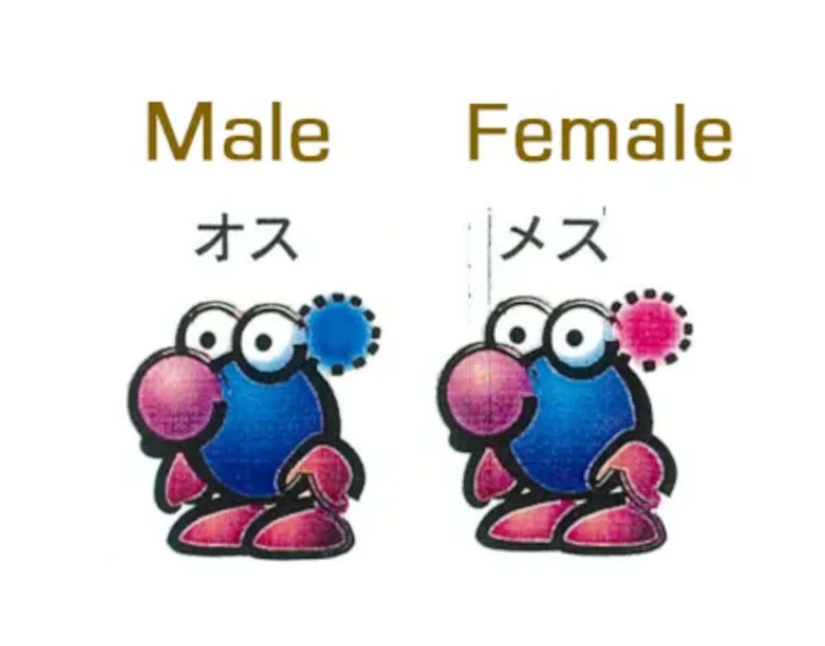 805969.png