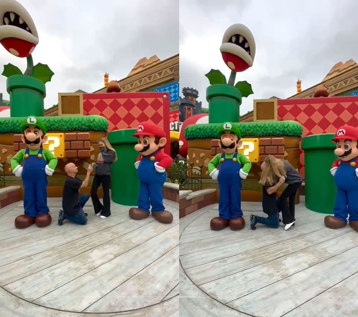 809912.jpg