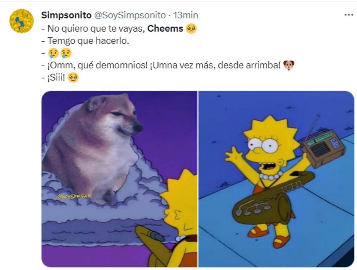 810565.jpg