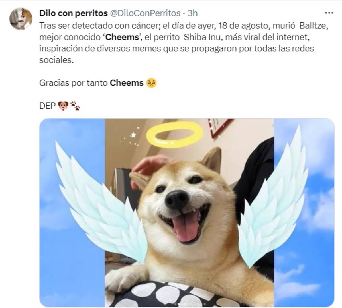 810566.jpg