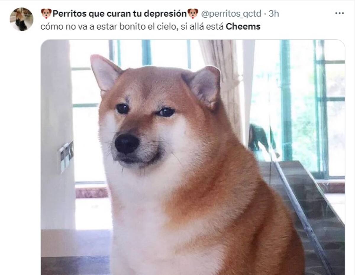 810567.jpg