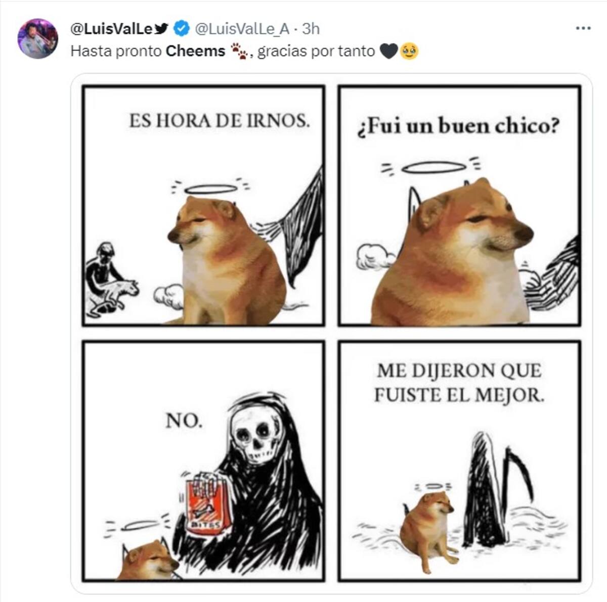 810569.jpg