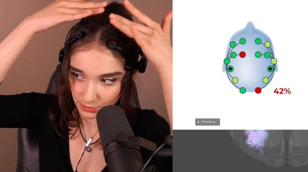 813799.jpg