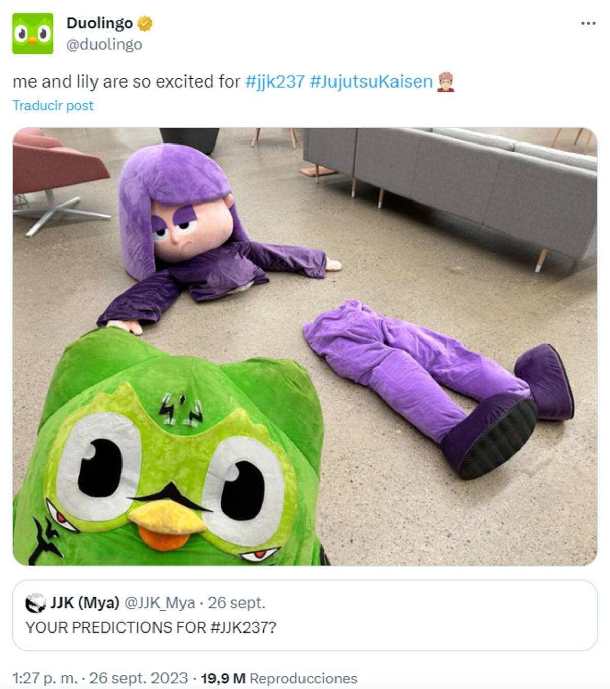 816242.jpg
