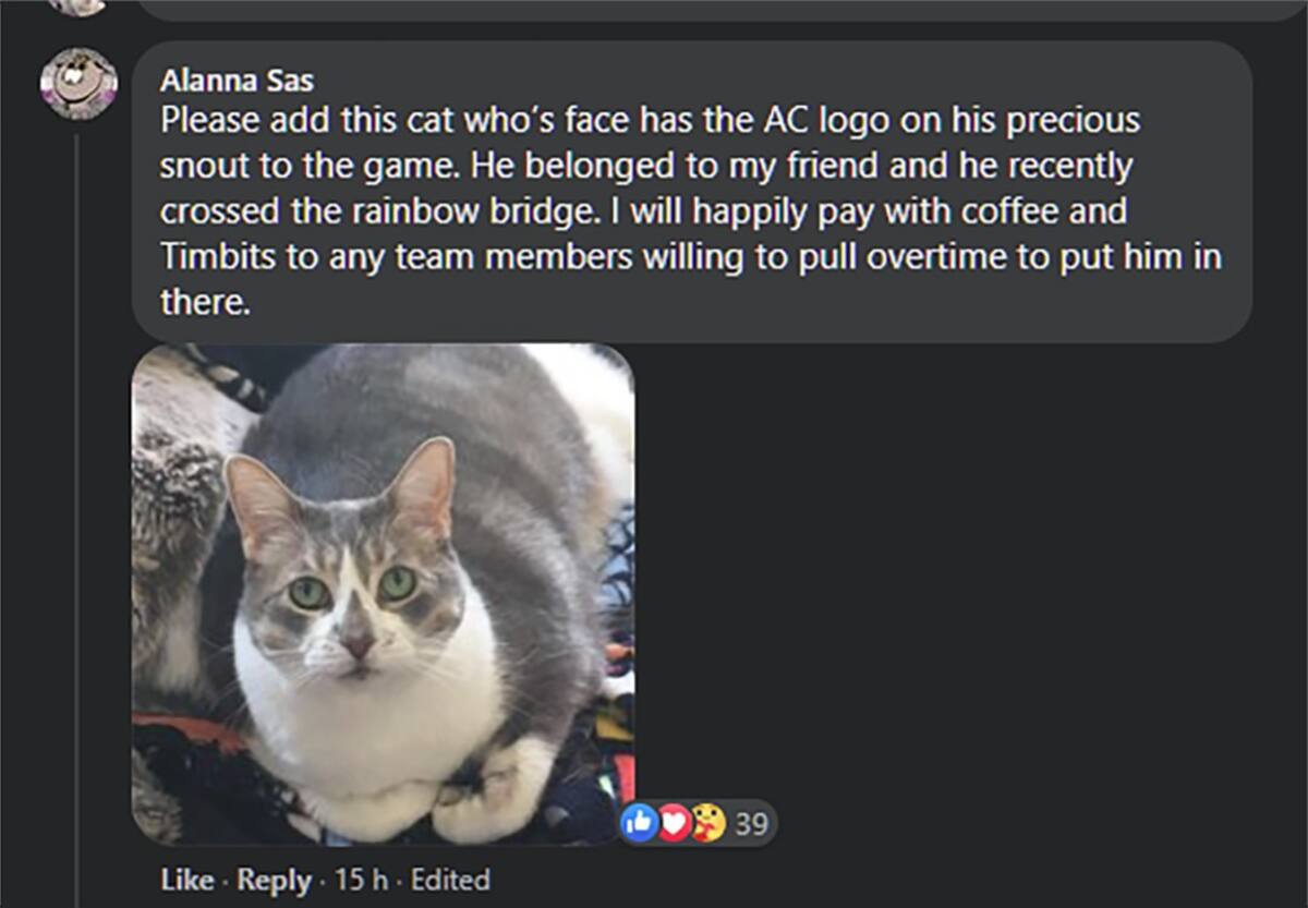 818066.jpg