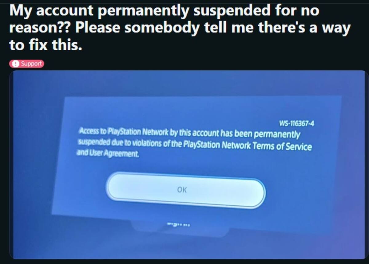 826339.jpg