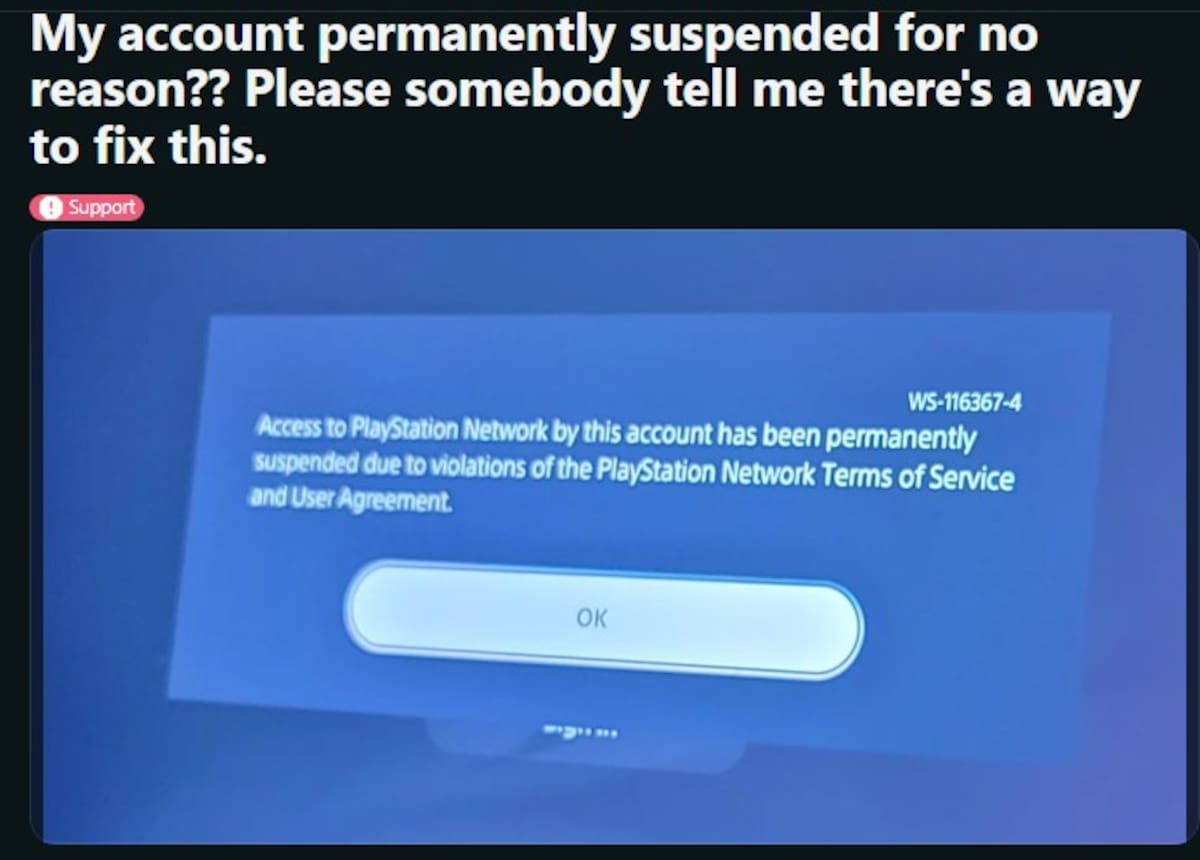 826339.jpg