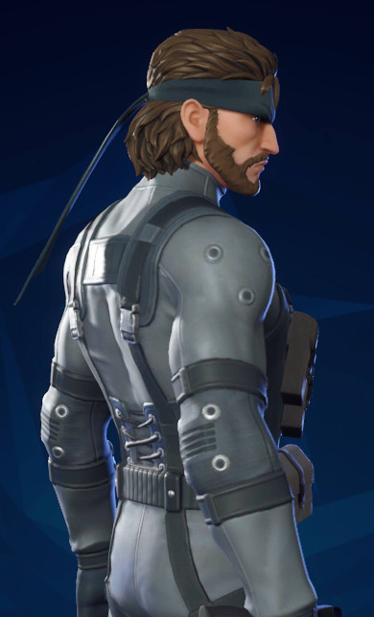 826517.jpg