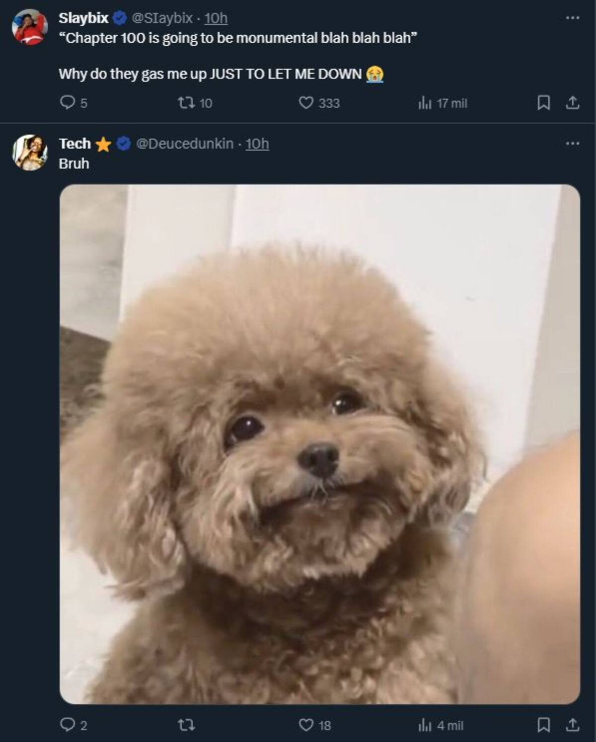 828367.jpg
