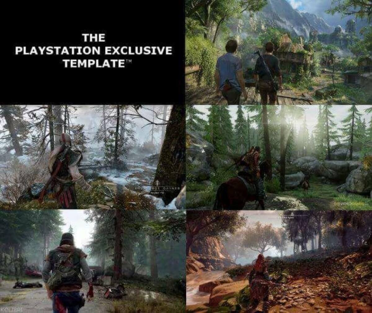 828468.jpg