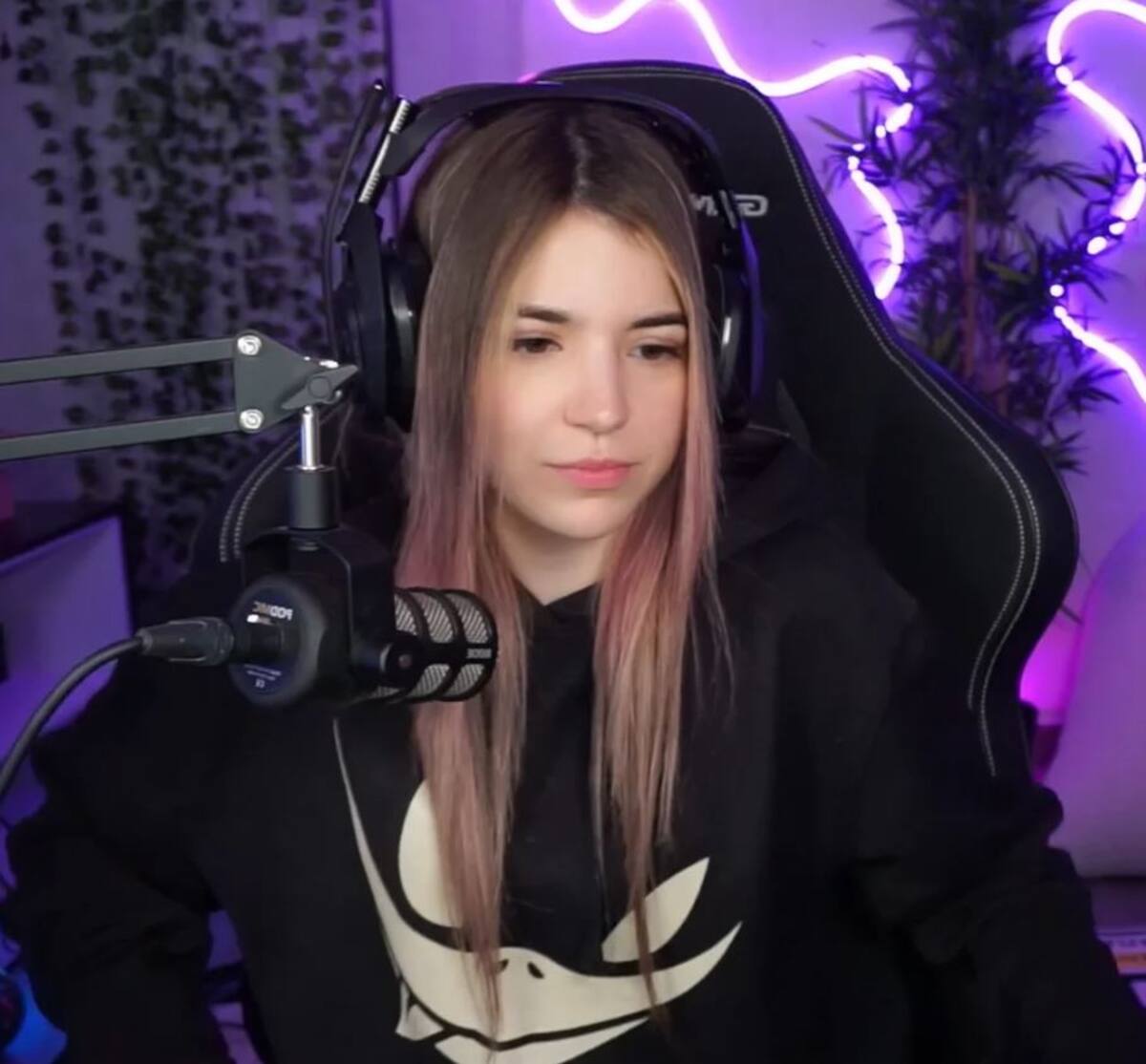 830446.jpg