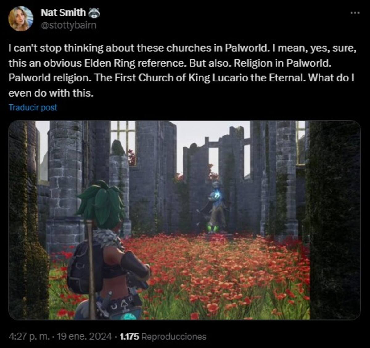 833051.jpg