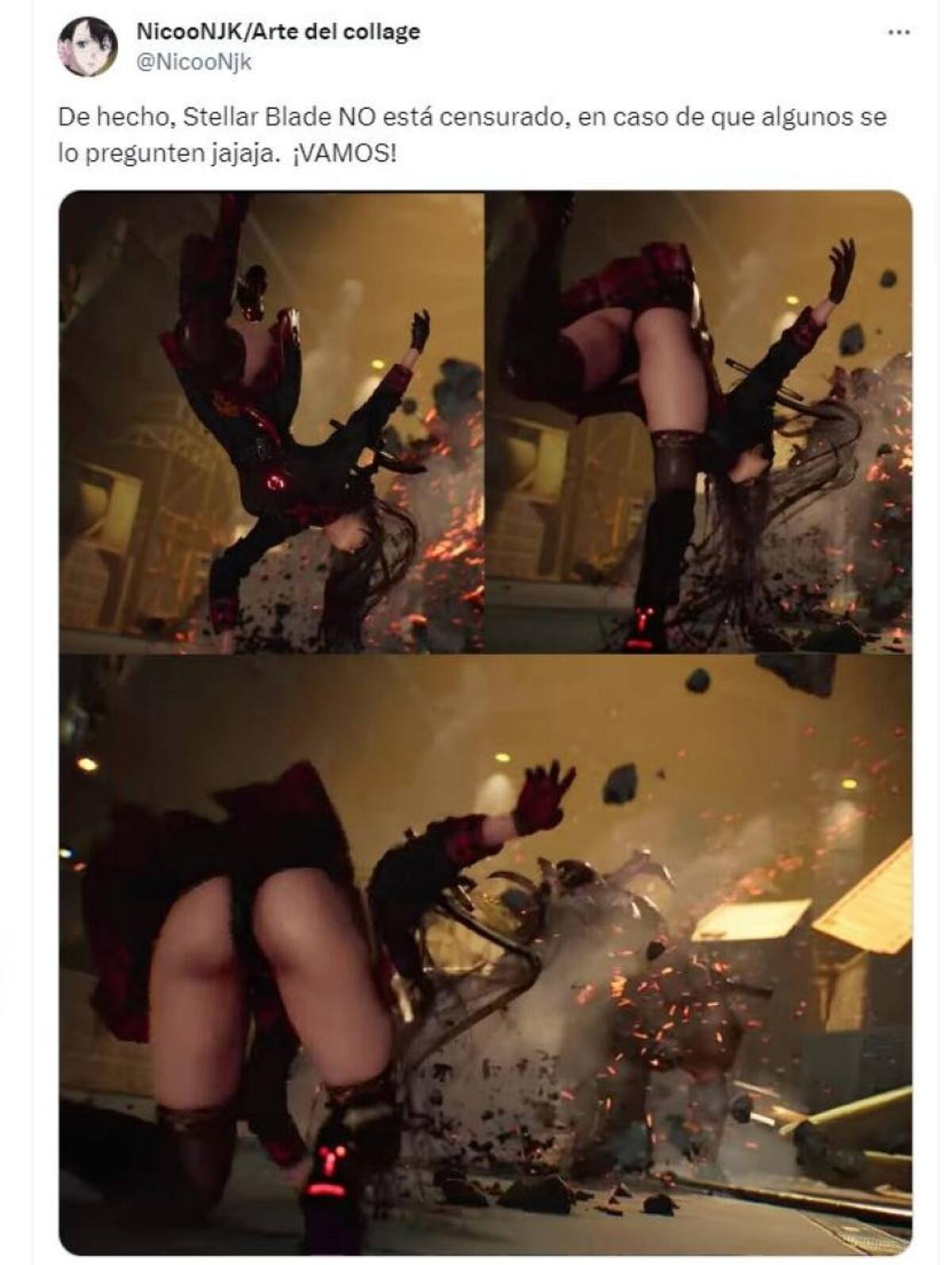 835928.jpg