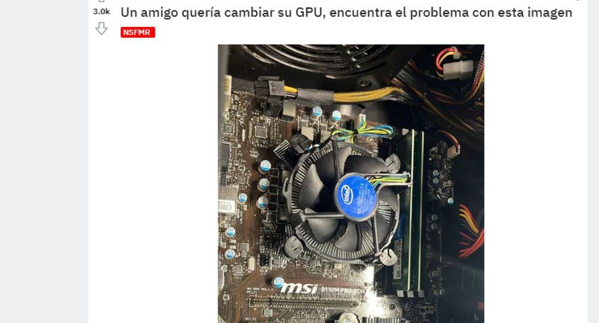 836393.jpg