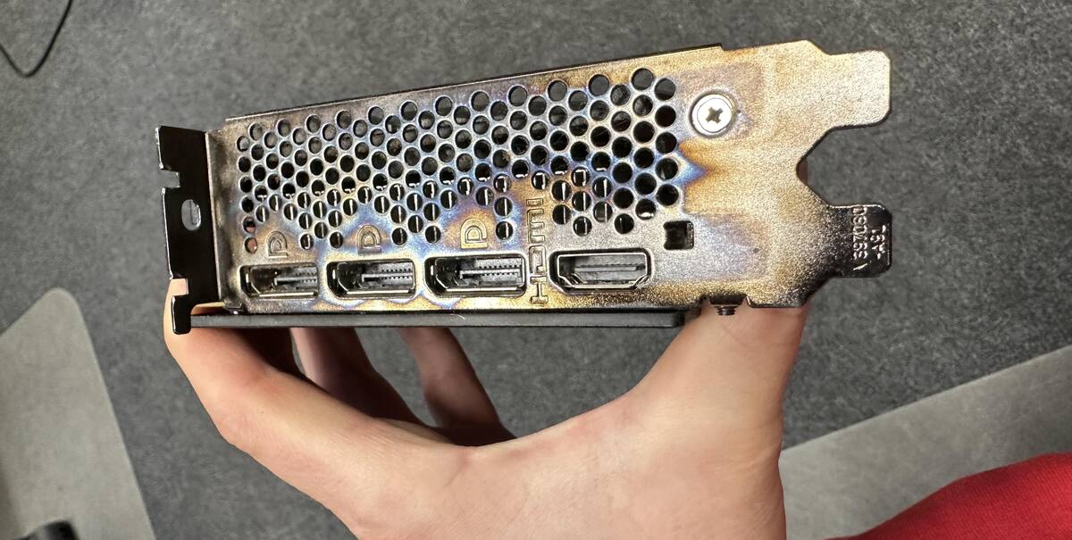 837755.jpg