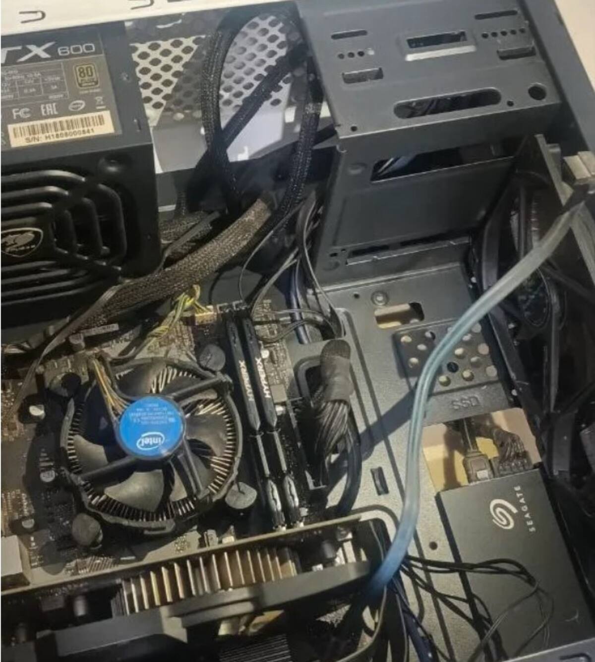 842796.jpg