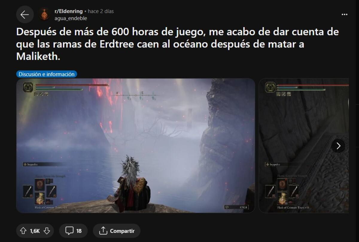 845012.jpg