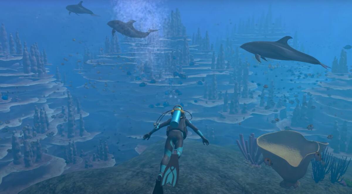 845354.jpg