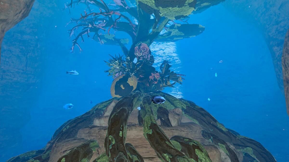 849711.jpg