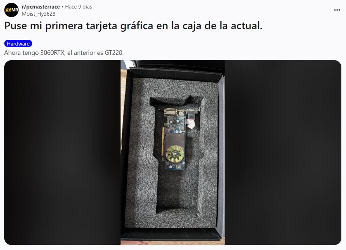 851038.jpg