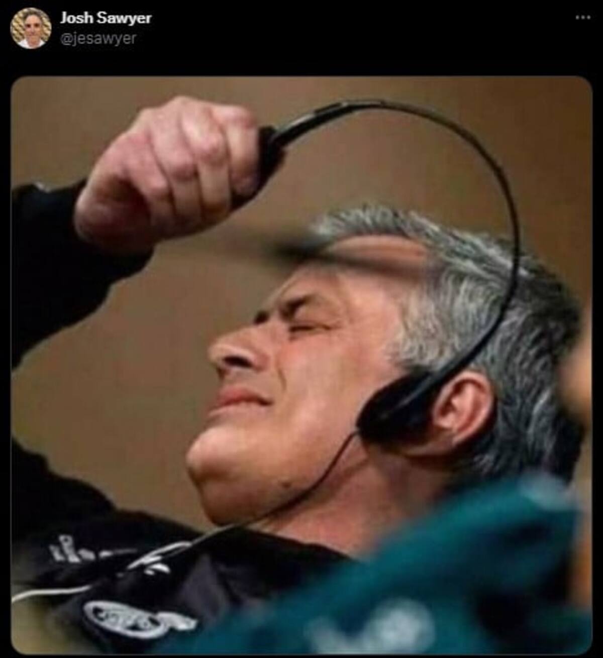 852686.jpg