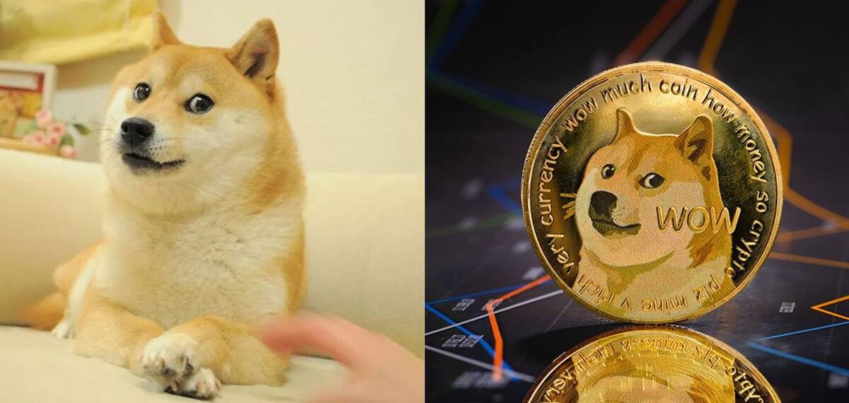 852819.jpg