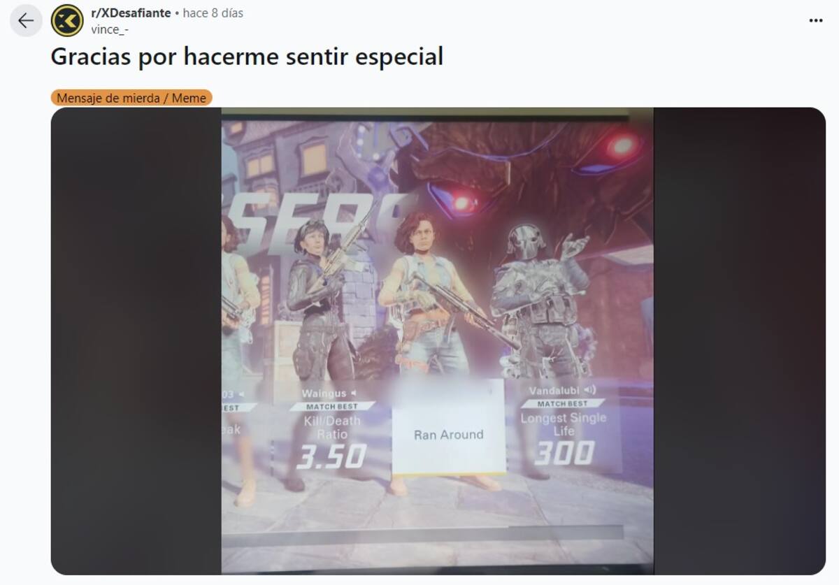 853626.jpg