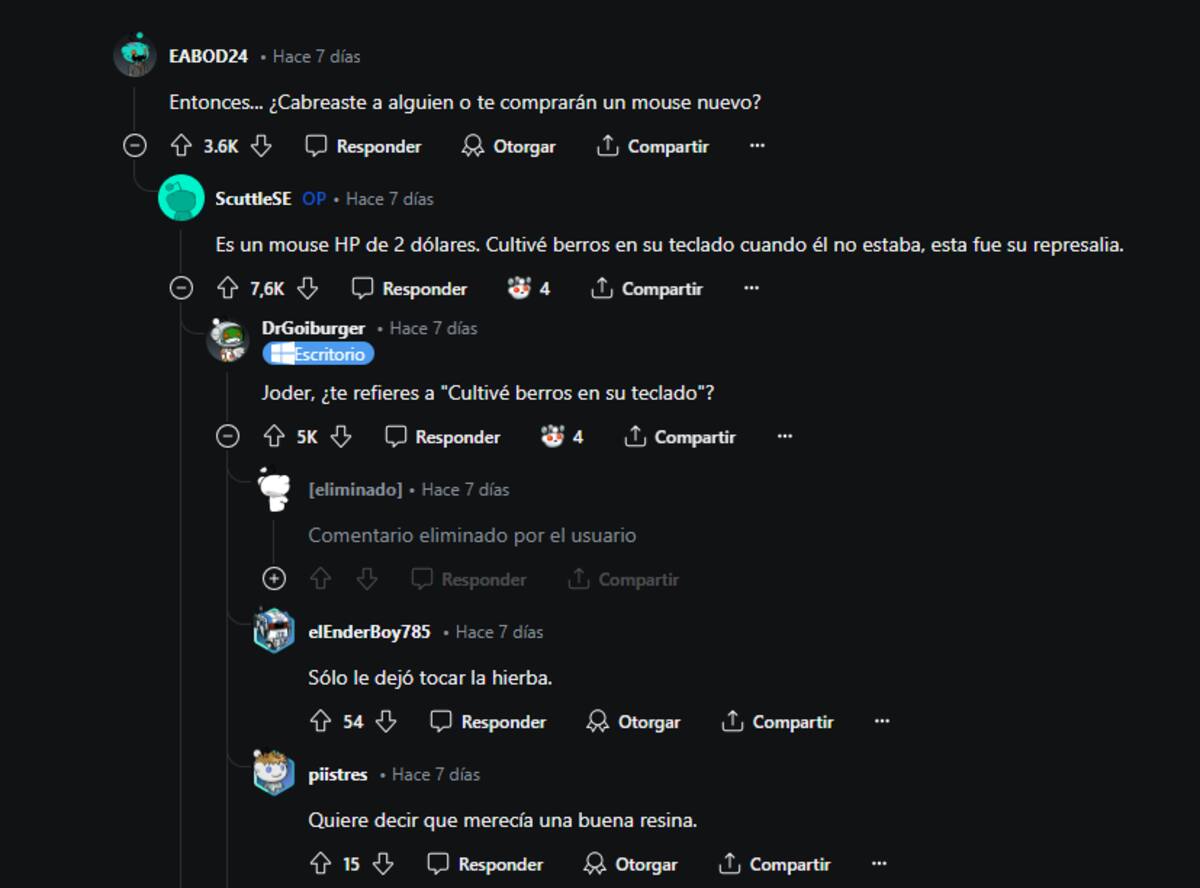 856846.png