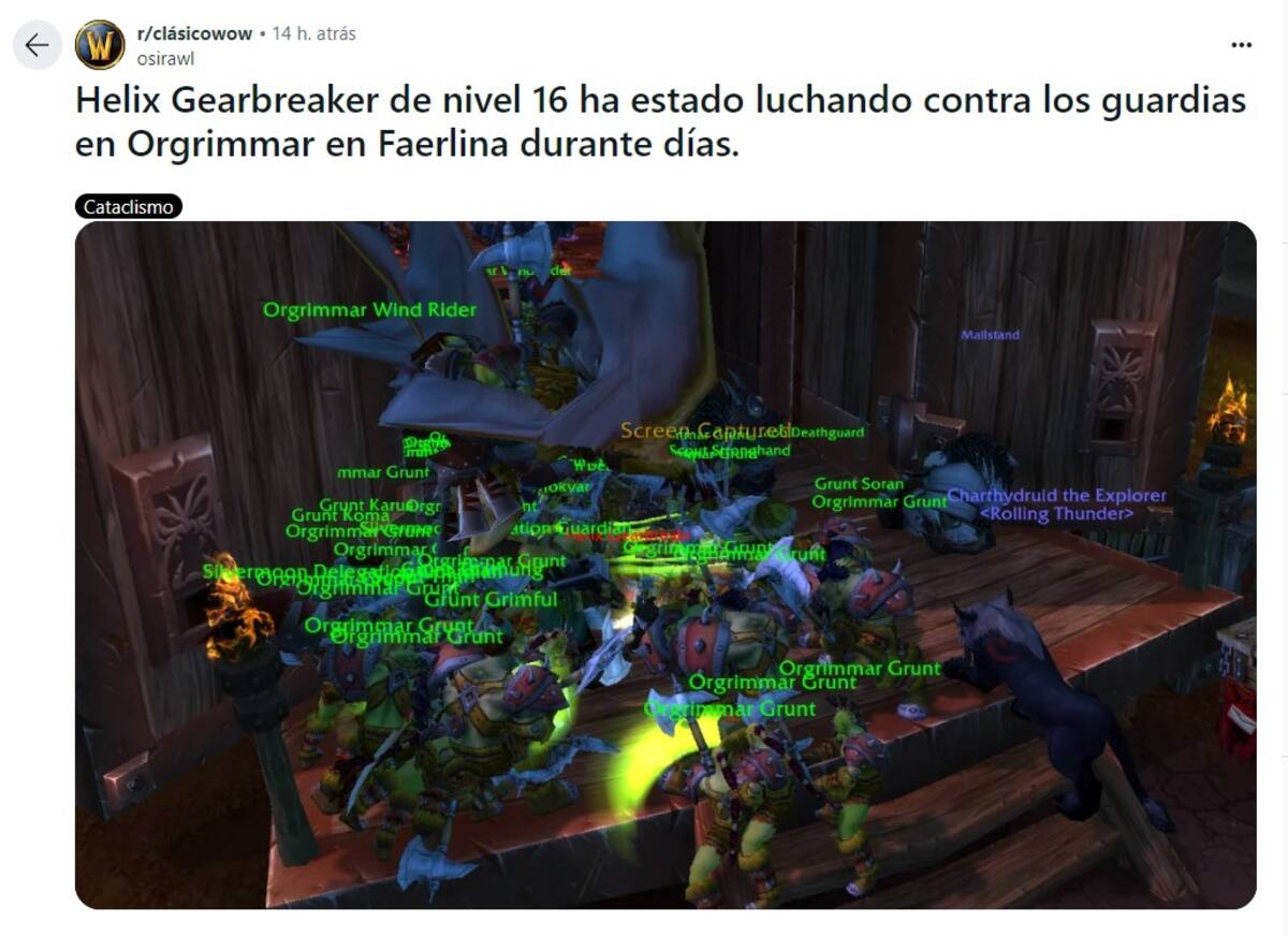 856861.jpg