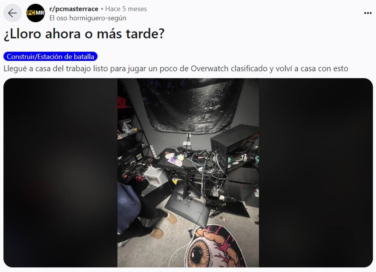859419.jpg