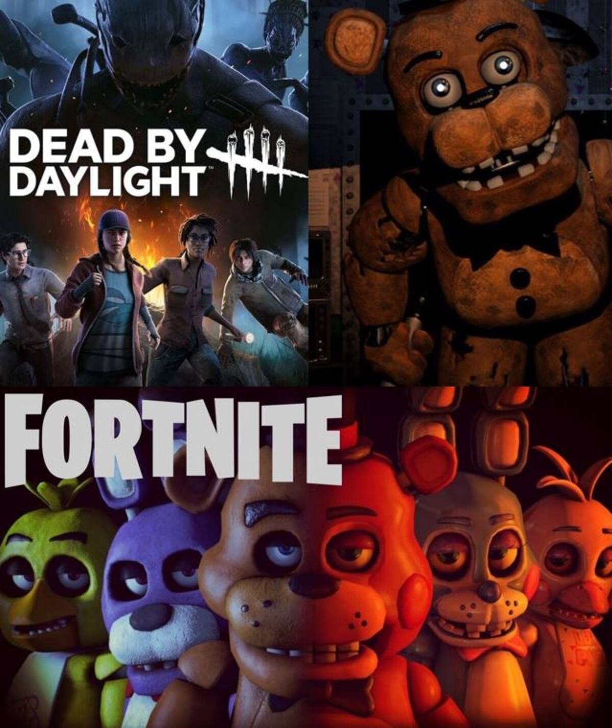 863649.jpg