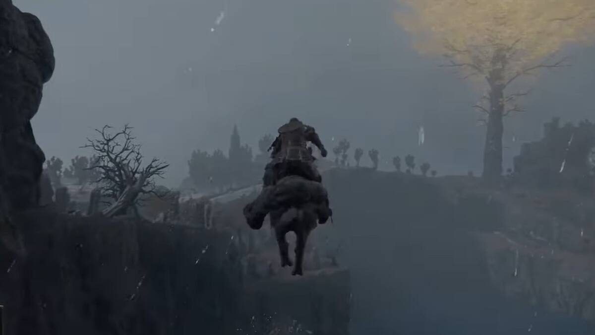 863754.jpg
