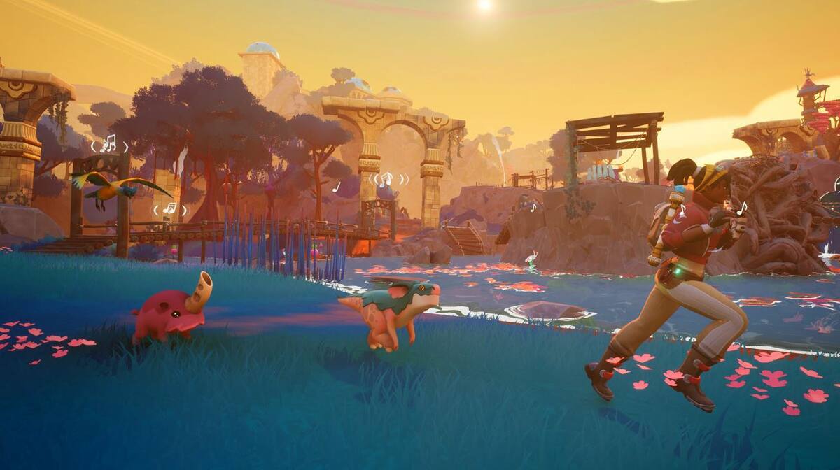 864571.jpg