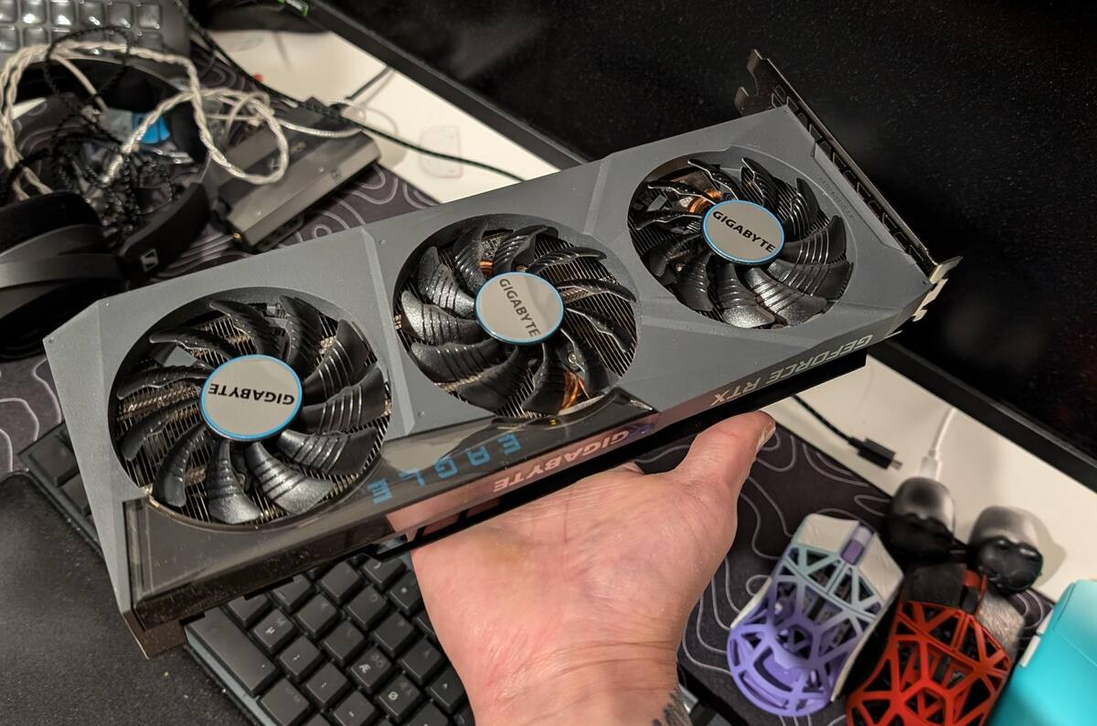 867798.jpg